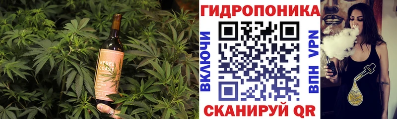 Canna-Cookies марихуана  как найти наркотики  Мурманск 