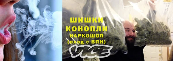 spice Гусь-Хрустальный