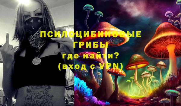 spice Гусь-Хрустальный