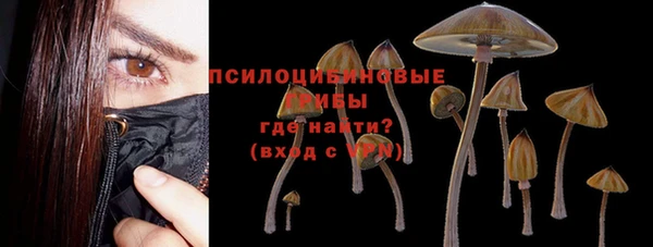 MESCALINE Гусиноозёрск